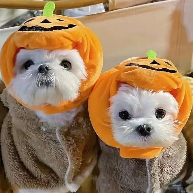 Halloween Dog Pumpkin Costume Hat - Cute & Comfy Pet Halloween Outfit