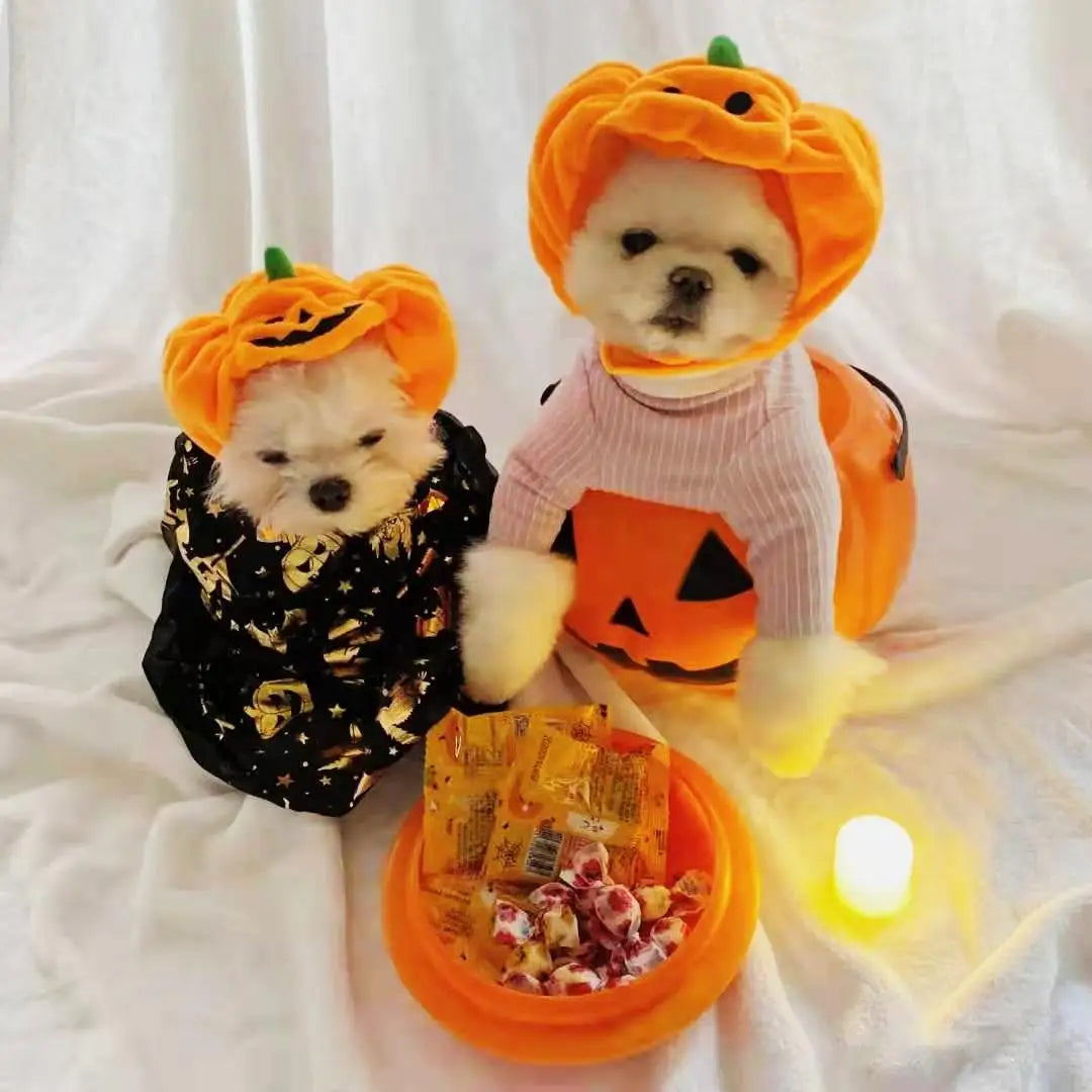 Halloween Dog Pumpkin Costume Hat - Cute & Comfy Pet Halloween Outfit