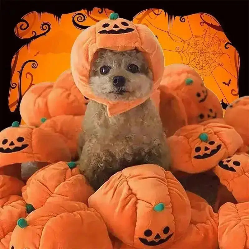 Halloween Dog Pumpkin Costume Hat - Cute & Comfy Pet Halloween Outfit