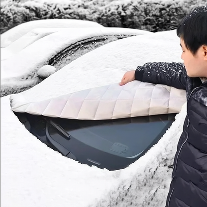 Winter Windshield Guard