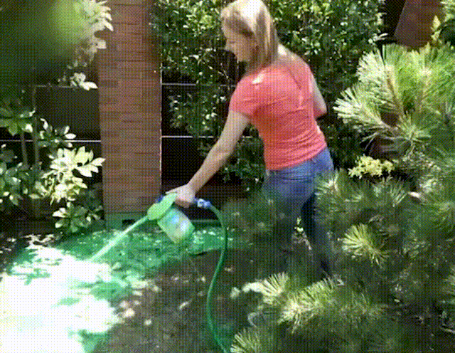 Green Grass Spray Magic