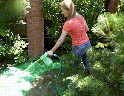Green Grass Spray Magic