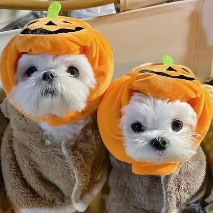 Halloween Dog Pumpkin Costume Hat - Cute & Comfy Pet Halloween Outfit