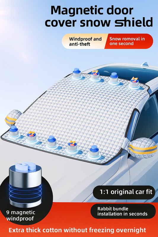 Winter Windshield Guard